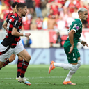 Cesar Greco / Palmeiras