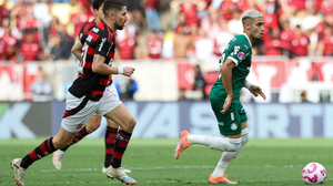 Cesar Greco / Palmeiras