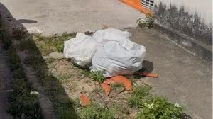 Reprodução/Italo Timoteo