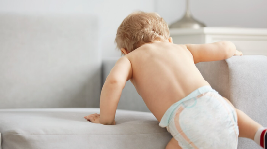 Foto: Reprodução/Freepik