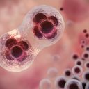 Foto: Ilustrativa/Freepik