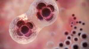 Foto: Ilustrativa/Freepik