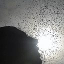 Imagem meramente ilustrativa - Arquivo / Agência Brasil