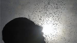 Imagem meramente ilustrativa - Arquivo / Agência Brasil