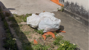 O corpo do bebê foi encontrado por uma catadora de recicláveis em uma sacola plástica deixada entre lixos - Foto: Italo Timóteo