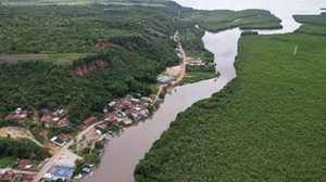 O MPF destaca que a vegetação de áreas de preservação permanente deve ser mantida - Foto: Relatório Geruc IMA