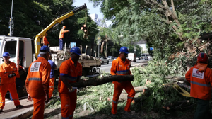 Ventos de até 98km/h derrubaram muitas árvores, foram 514 chamados para verificar as quedas. - Foto: Agência Brasil