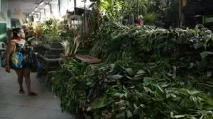 Fernando Frazão/Agência Brasil