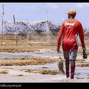Imagem Exposição fotográfica nas areias da Ponta Verde defende a permanência dos currais de pesca