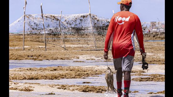 Imagem Exposição fotográfica nas areias da Ponta Verde defende a permanência dos currais de pesca