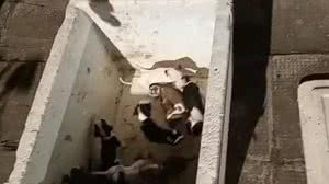 Foto: Reprodução/Arquivo Pessoal