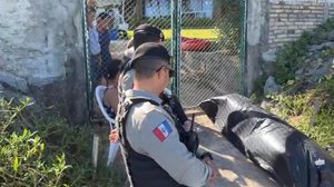 Reprodução/TV Pajuçara