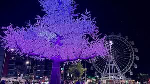 Imagem Iluminação de Natal no Parque Massay-ó-k encanta maceioenses e turistas