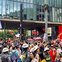 Camila Boehm/Agência Brasil