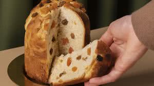 Foto Ilustrativa/Freepik