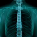 Foto: Reprodução/Freepik