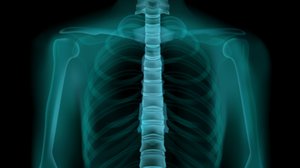 Foto: Reprodução/Freepik