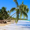 Praia do Patacho, em Porto de Pedras - Foto: Divulgação