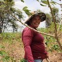 Participação do interior no PIB de Alagoas supera a capital, aponta IBGE - Thayana Araújo / Ascom Seagri