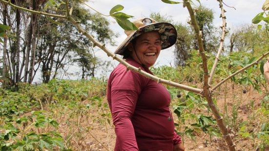 Participação do interior no PIB de Alagoas supera a capital, aponta IBGE - Thayana Araújo / Ascom Seagri