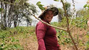 Participação do interior no PIB de Alagoas supera a capital, aponta IBGE - Thayana Araújo / Ascom Seagri