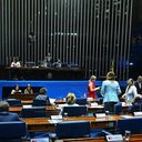 Jefferson Rudy/Agência Senado