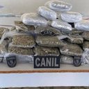 PM apreende mais de 10kg de drogas em um ônibus próximo à povoado em Arapiraca - Ascom PMAL