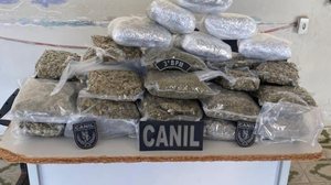 PM apreende mais de 10kg de drogas em um ônibus próximo à povoado em Arapiraca - Ascom PMAL