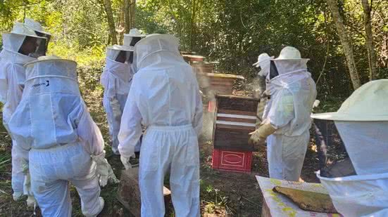 Imagem Programa Pescadores do Mel capacita mais de 20 pessoas nos Flexais e Coqueiro Seco