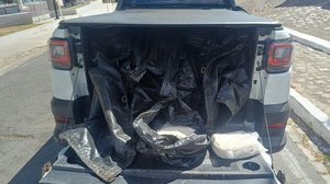 Foto: Reprodução/PRF