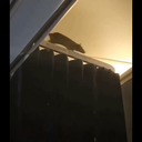 Foto: Reprodução/X