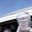 Saúde libera mosquitos estéreis para frear reprodução do Aedes - Marcelo Camargo / Agência Brasil