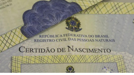 O custo de cada documento pode variar na plataforma - Foto: Agência Brasil