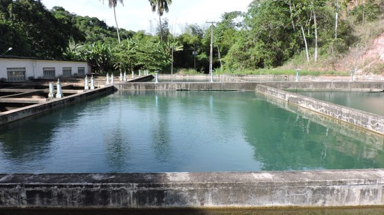 Reparo emergencial no aqueduto do Sistema Catolé-Cardoso afeta abastecimento em Maceió - Foto: Casal
