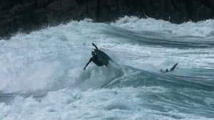 Surfista divide onda com tubarão em Noronha - Bruno Galvão