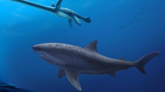 Polyanna von Knorring/Museu de História Natural da Suécia