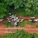 Gilvan Alves / TV Brasil