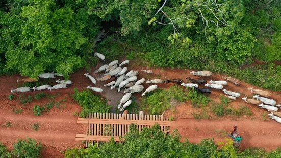 Gilvan Alves / TV Brasil