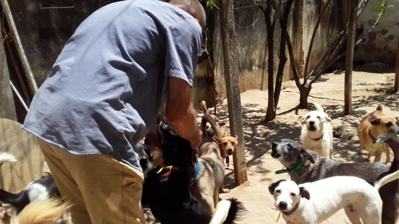 Imagem Evento Beneficente em prol do Abrigo São Cão