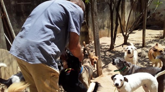 Imagem Evento Beneficente em prol do Abrigo São Cão