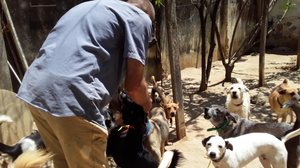Imagem Evento Beneficente em prol do Abrigo São Cão