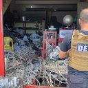 Polícia identificou irregularidades nos estabelecimentos - Foto: Cortesia/PCAL