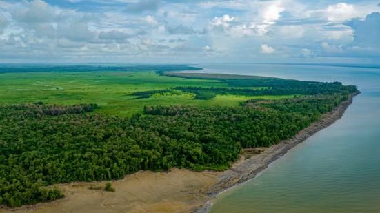 Imagem meramente ilustrativa - Instituto Onça-Pintada / Divulgação