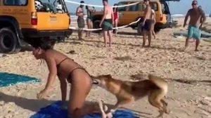 Foto: Reprodução/Redes Sociais