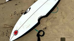 Austrália registra série de ataques de tubarão e acende alerta no surfe - Reprodução