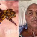 Reprodução/Facebook