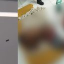 Reprodução/TV Pajuçara