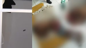 Reprodução/TV Pajuçara