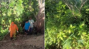 Área de mata em que bombeiros realizaram buscas e encontraram o corpo da vítima - Reprodução / Redes sociais