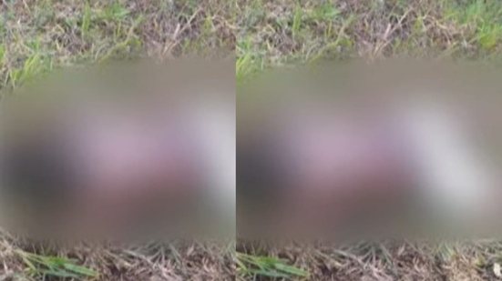 Reprodução/TV Pajuçara